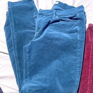 Women’s cords LOFT